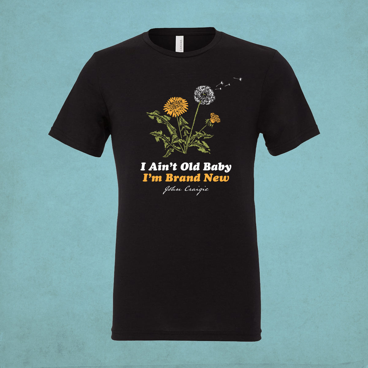 24SS/SPIKEY T-SHIRT/DANDELION/ポップコーン/ Dandelion T-Shirt - Black Triblend – John Craigie Store